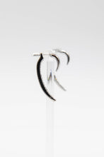 Load image into Gallery viewer, Hook Earrings